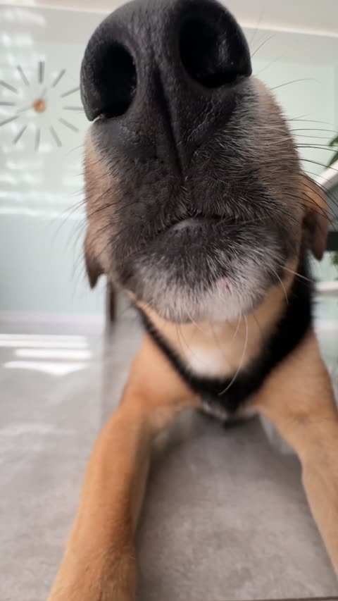 Cif - Środki czyszczące