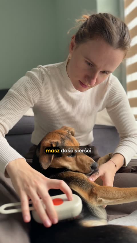 Futrolux - Akcesoria dla zwierząt